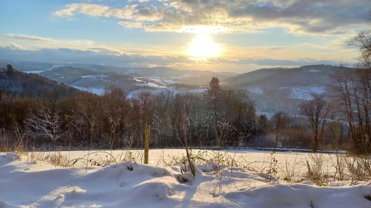 Ferienwohnung Sauerland Fernblick Olsberg Exterior foto