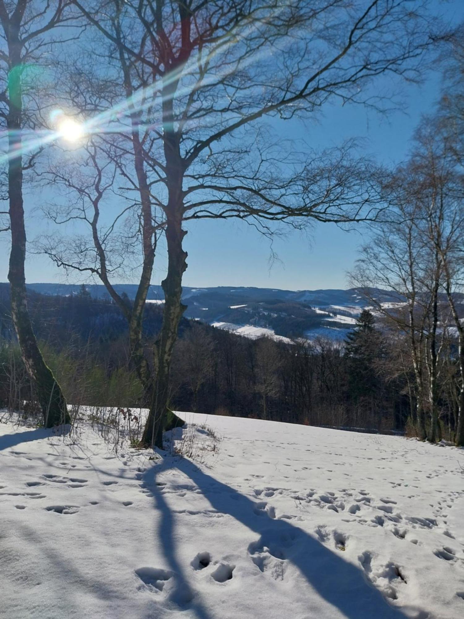 Ferienwohnung Sauerland Fernblick Olsberg Exterior foto